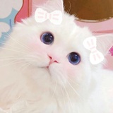 嬛大爷