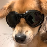 我有点吃不饱