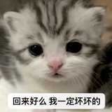 我有一头小毛驴