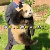 虫洞三混子