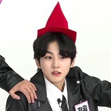 白色小狗