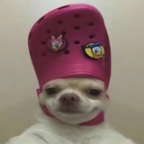 啦啦啦啦啦