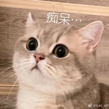 云淡风轻