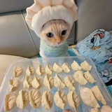 爱喝冰可乐