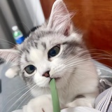 陆河不修