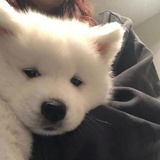孤独者