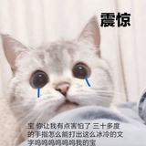 夏