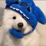 豆友7553994015