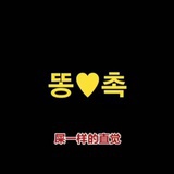 土豆侠