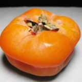 巴依老爷包子房