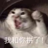 木徒