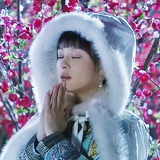 钮祜禄momo