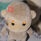 当地小狗