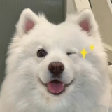 冷少强宠无度