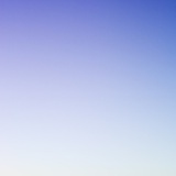 蕾 .
