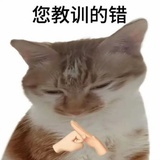 黑丝悍妇谢广坤