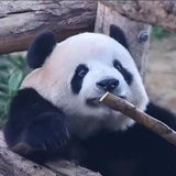 豆友5673134925
