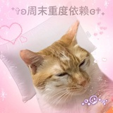 棠梨煎雪