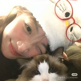 翘脚小猫