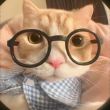 我是认真的
