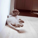 lillian