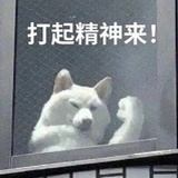 今天星期几