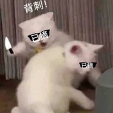 刘咩咩咩