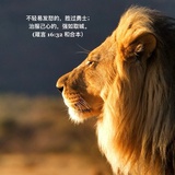 luzhihao21