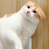 不要找我