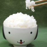 白米饭