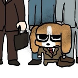 黎普