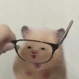 华浅（重生版）