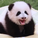 云开雾散