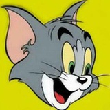 TomCat