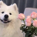 豆友7640395726