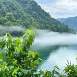 白月光