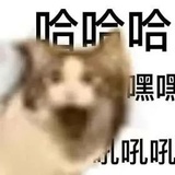 小猪拱了小白菜