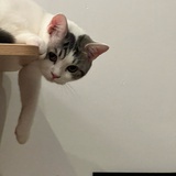 丢丢