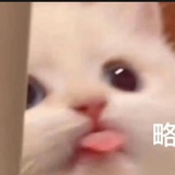 来去之间