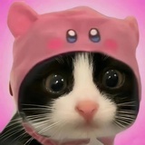 猫剩