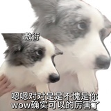 。。。。。