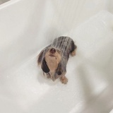 蟹堡王优秀员工