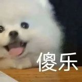 豆友5451164577