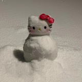 myname1sduck