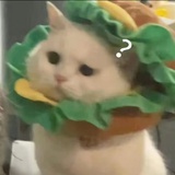 冰镇西瓜🍉