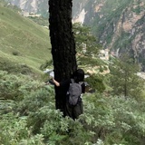 小小