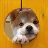 圆咕隆咚OuO