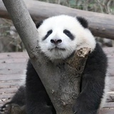 墨迹