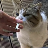 光速爬怪