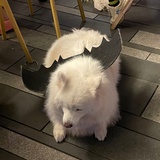 半杯过去正常冰